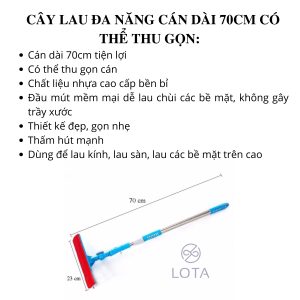 cay lau kinh thong minh 70cm.jpg