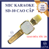 mic karaoke 1