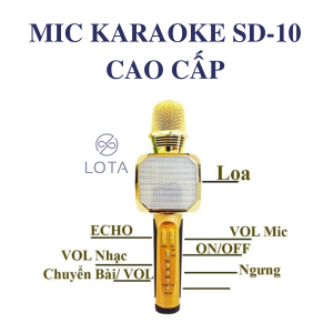 mic karaoke sd 10