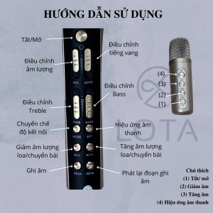 micro karaoke bluetooth