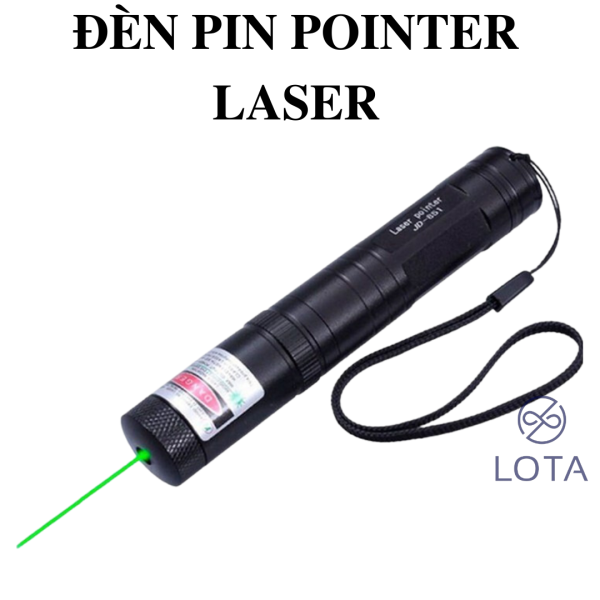 den pin pointer lazer