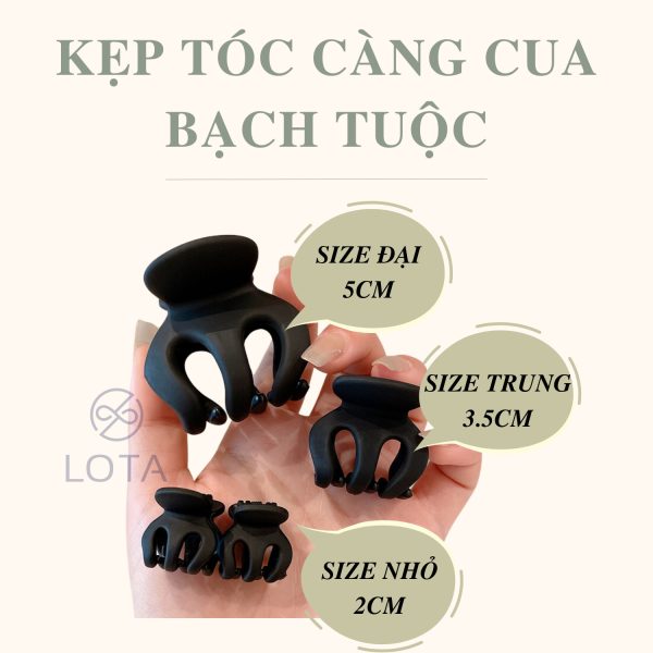 kep bach tuoc dep